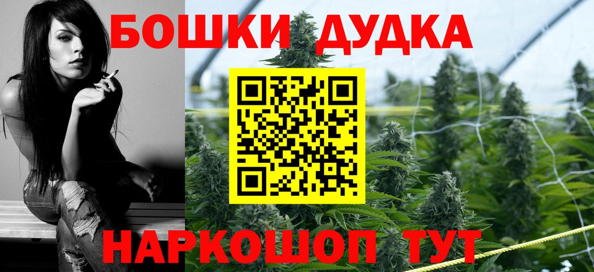 Канабис сатива Вольск
